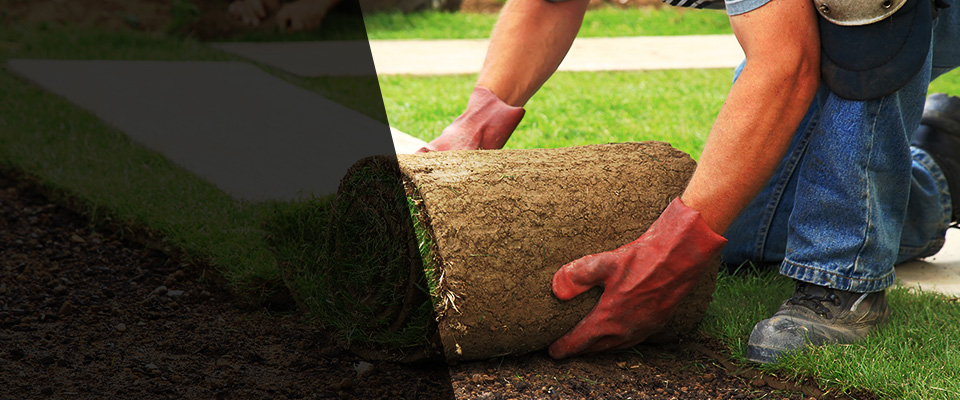 Paxton Landscapers
